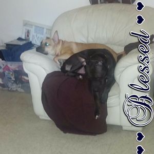 Meet your Posher, Jackie